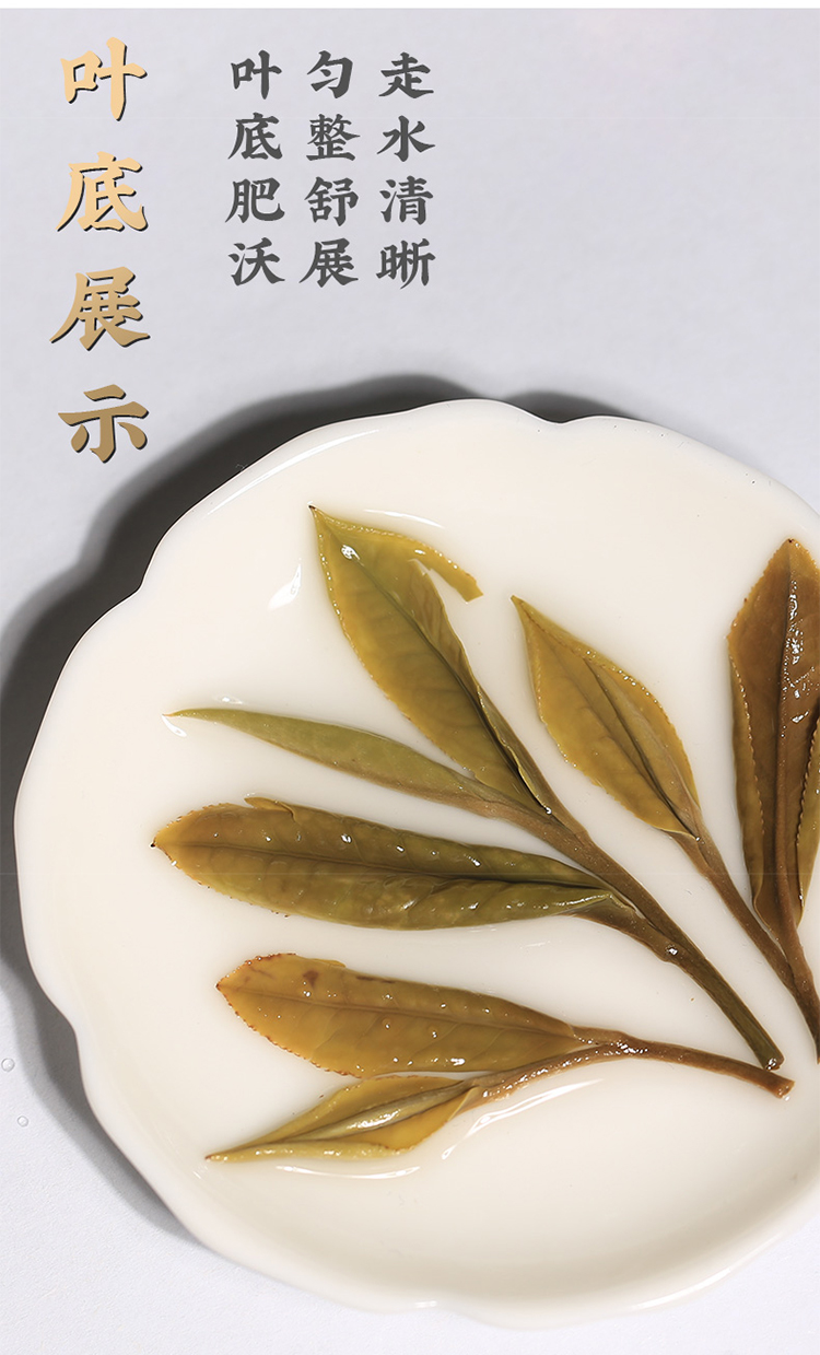未标题-1_08.jpg