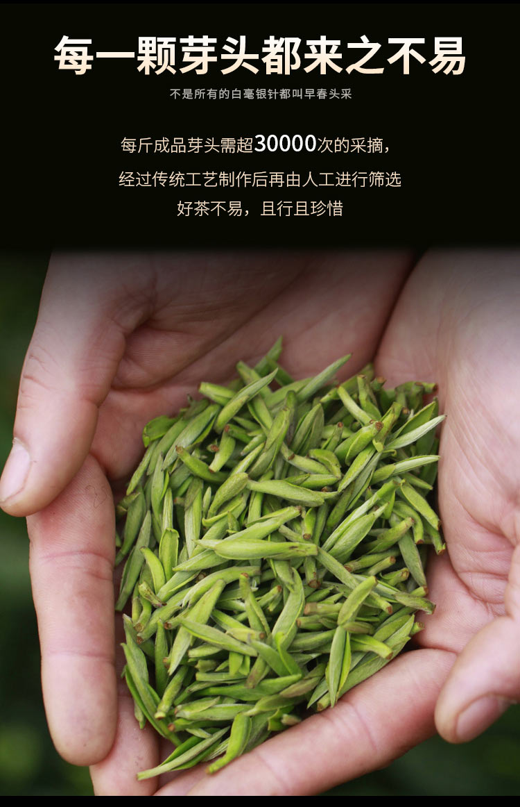 白茶详情页_04.jpg