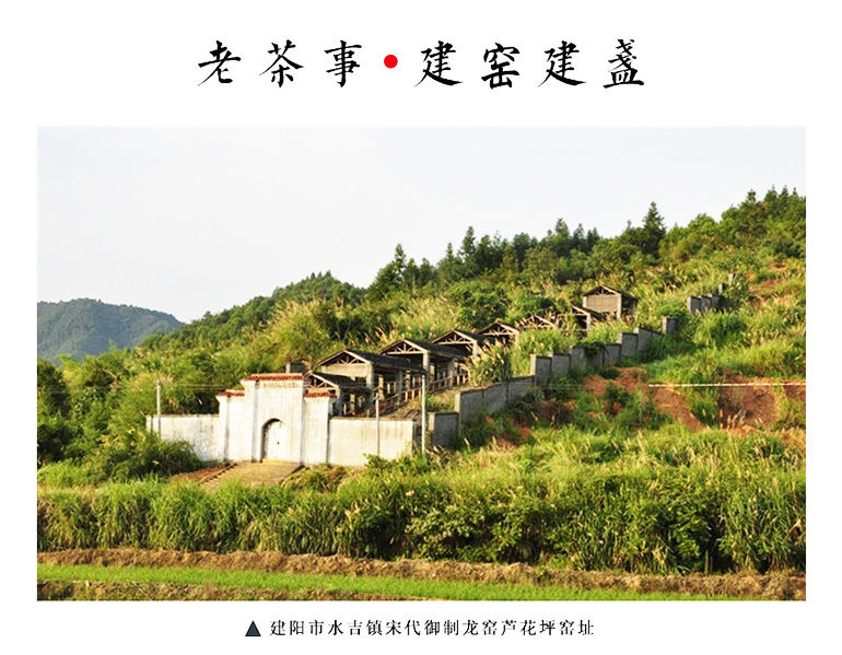 pic蓝麒麟_11.jpg