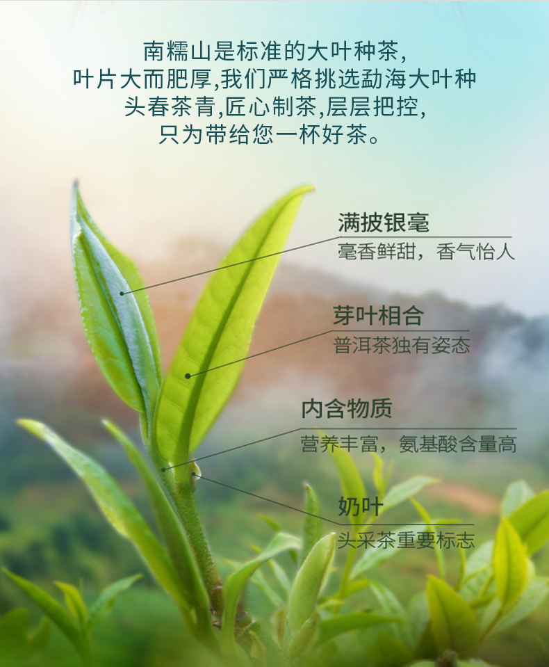 未标题-1_03.jpg