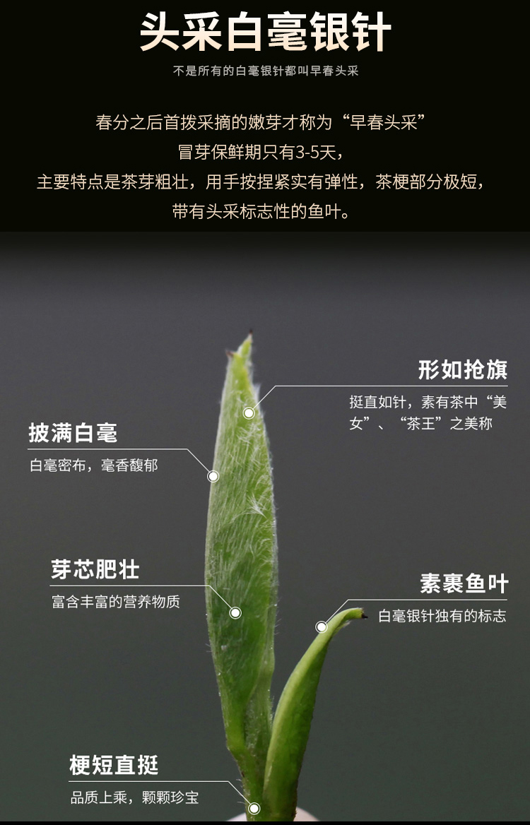 未标题-6_06.jpg