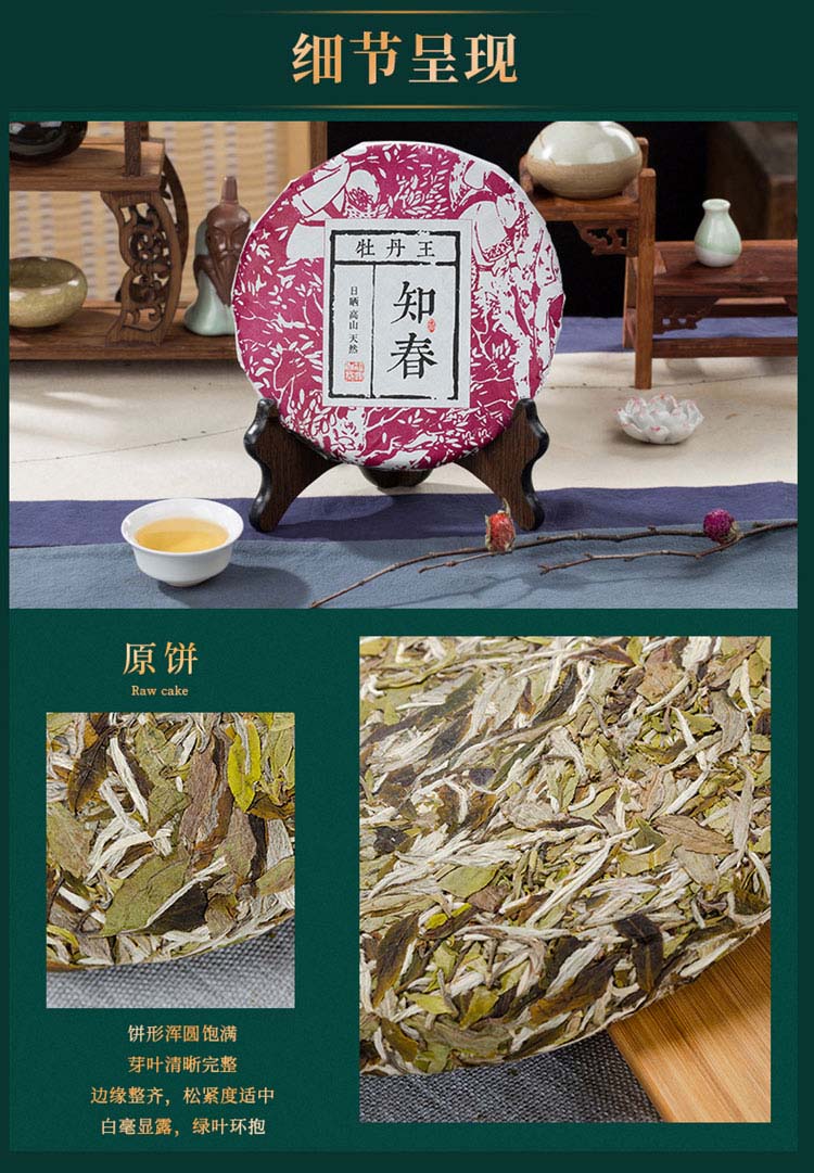 知春牡丹王3_12.jpg
