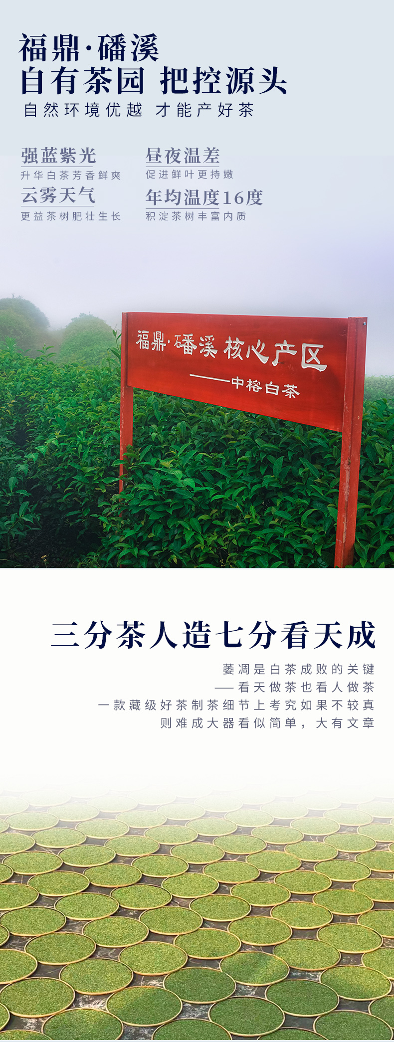 zhenrongsuiyue_03.jpg
