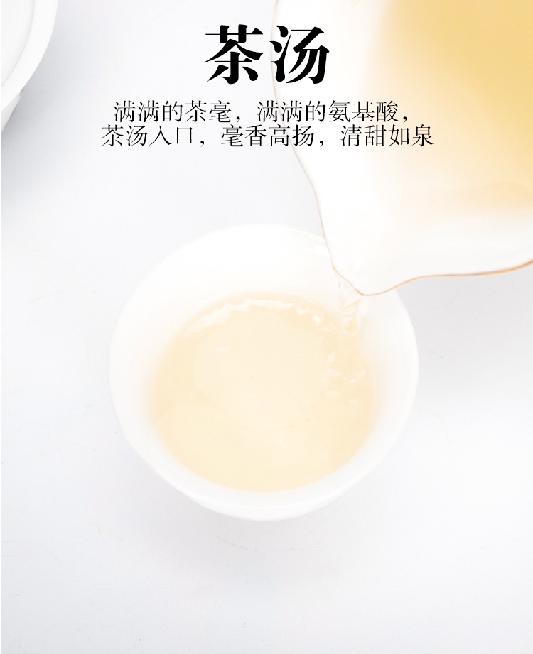 未标题-6_08.jpg