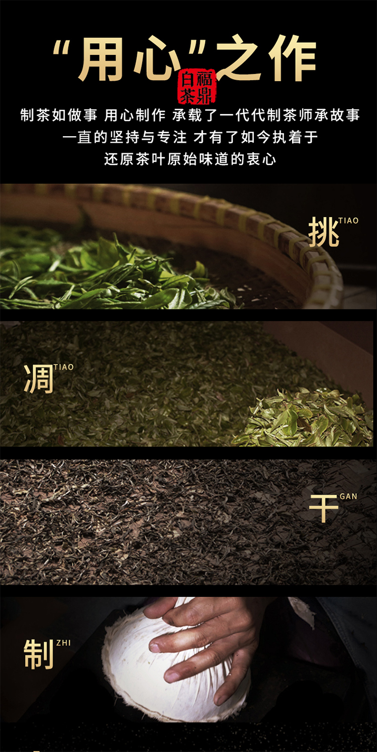 2014老白菜_04.jpg