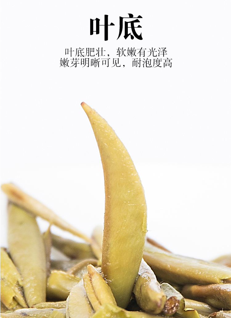 未标题-6_09.jpg
