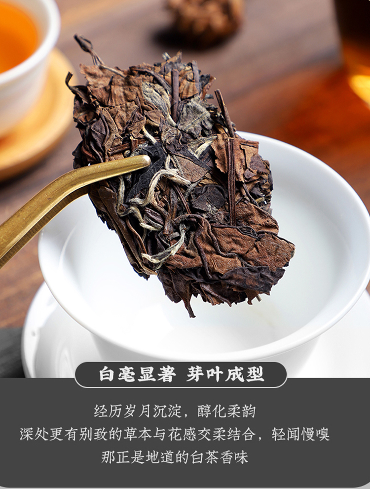 未标题-1_07.jpg