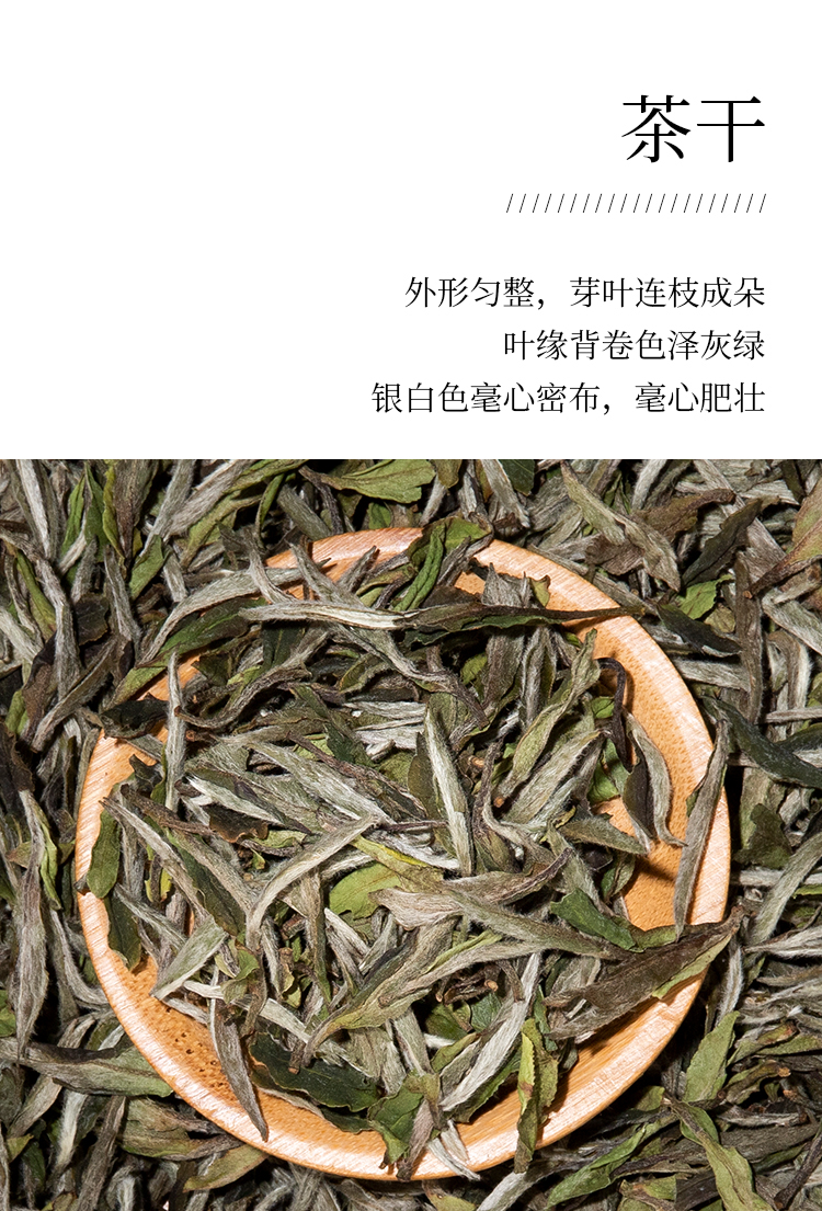 2019牡丹王_06.jpg