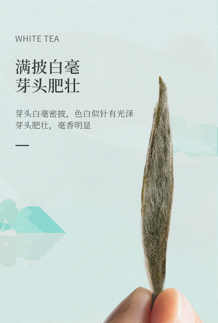 未标题-3_05.jpg