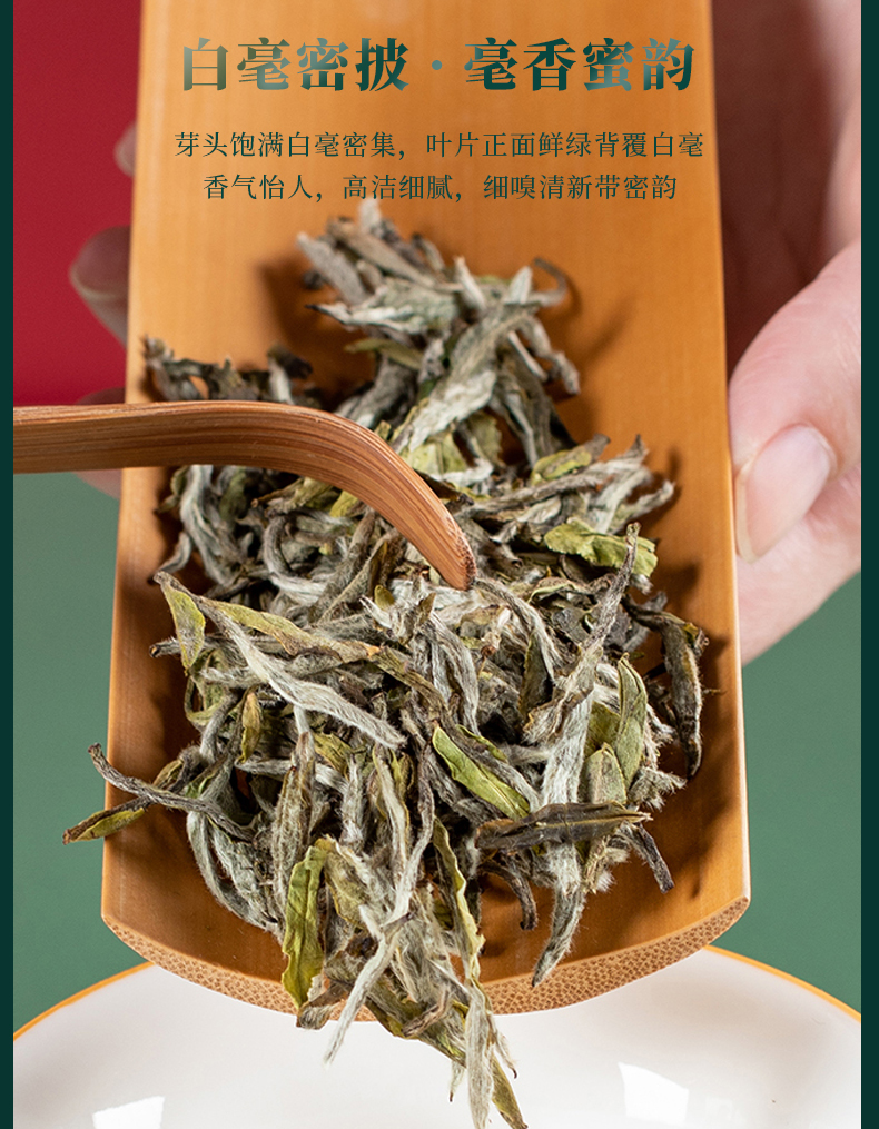 高山牡丹王_09.jpg