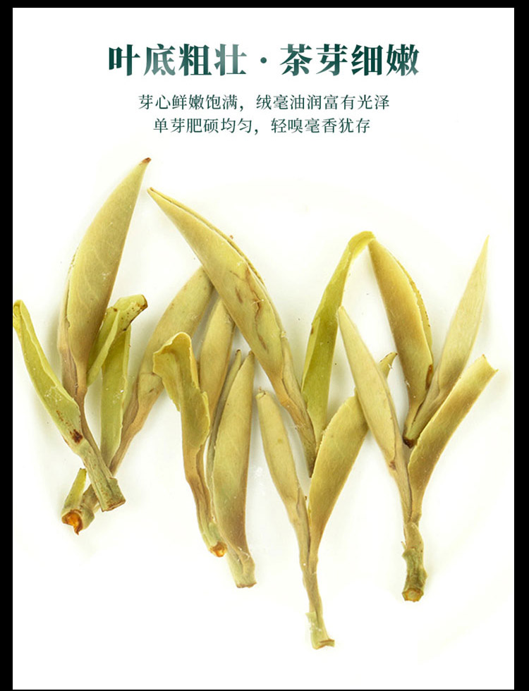 2019年知春牡丹王茶饼_06.jpg