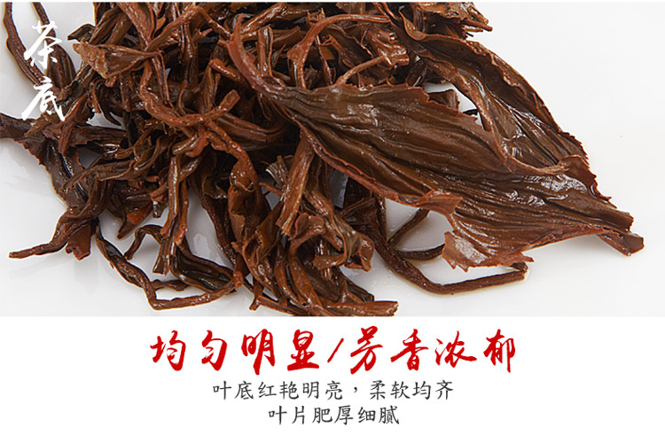 英红九号1_03.jpg