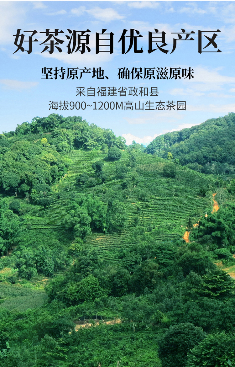 未标题-1_04.jpg
