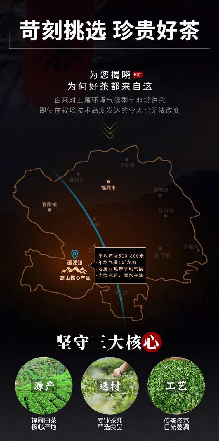 2021白毫银针_03.jpg